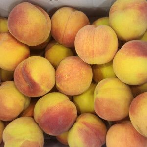 상품 이미지: (최고 품종 선별 산지직송) 달콤 쫀득 말랑한 황도/백도 복숭아 4kg(22~24과 ) 품종/랜덤 2시간 특가 이벤트