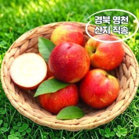 상품 이미지: (산지직송/대극천/천도복숭아 2kg) 14 brix 경북 영천 과즙폭발 고당도복숭아 2kg
