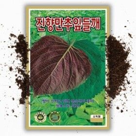 상품 이미지: 진향만추 잎들깨씨앗 400g 국내산 깻잎 쌈채소 종자 대용량 씨앗