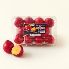 상품 이미지: 김천앤 고당도 내몸에 대석왕자두, 900g(대과), 1개