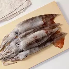 상품 이미지: 국내산 당일조업 서해안 생물 오징어 얼음포장 700~800g (3~5미)