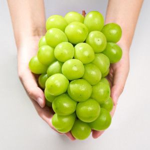 상품 이미지: 샤인 머스켓 2kg 실중량 판매 첫수확 기념 200박스 할인 이벤트 탱글탱글 달콤한 망고포도