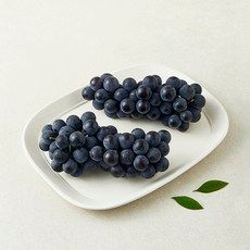 상품 이미지: 산들이랑 캠벨포도, 1개, 500g