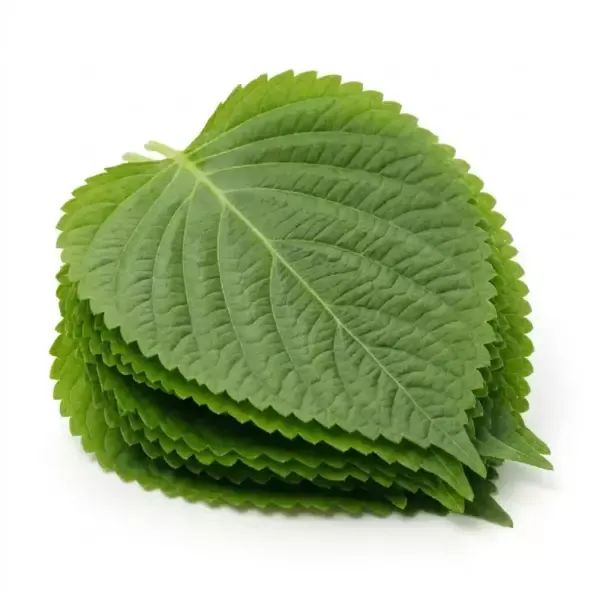 상품 이미지: 국내산 깻잎 1kg