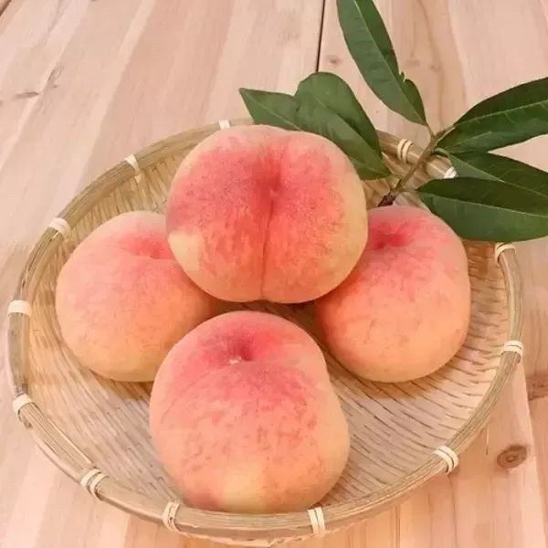 상품 이미지: [산지직송] 새콤달콤 털복숭아 황도복숭아 3kg 중과