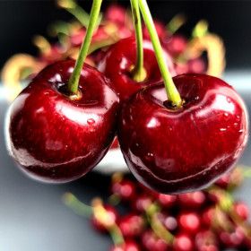 상품 이미지: 최상급 프리미엄 고당도 생체리 1kg 왕체리 9R-10R