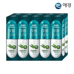 상품 이미지: 2080 진지발리스 유칼립투스 치약 150g 10개입 (후레쉬민트/스트롱민트 택1)