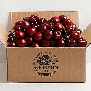 상품 이미지: (신선집중) 항공직송 워싱턴 직수입 생체리 체리 10R 1kg