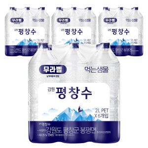 상품 이미지: (타임딜) 강원평창수 2L 24병
