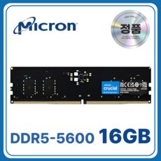 상품 이미지: 마이크론 Crucial DDR5 데스크탑 램 컴퓨터 메모리 UDIMM, 1개, 16GB 5600MHz (PC5-44800)