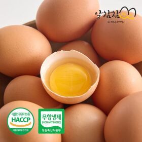 상품 이미지: 알참참 무항생제 특란 60구 HACCP 신선한 생란