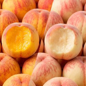 상품 이미지: (신선집중/15%+NH10%) 복숭아 고당도 황도/아삭이 복숭아 4kg 골라담기