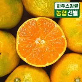 상품 이미지: [최종12,990] 농협선별 제주 하우스 감귤 2kg 중대과/ 2박스 구매시 4.5kg 발송