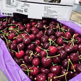 상품 이미지: 직수입 워싱턴 생체리 9-10.5R 1kg