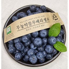 상품 이미지: 국산 블루베리 무농약 생블루베리 영동 햇블루베리 생과 특대 1kg 26년 햇블루베리 특가행사