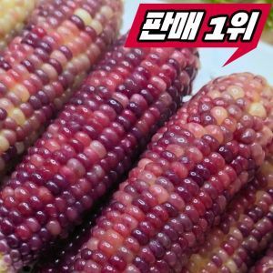 상품 이미지: 특A최상품 24cm이상 국내산 고당도 흑찰옥수수 30개입 기간한정 초특가행사