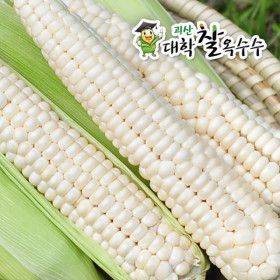 상품 이미지: 괴산 대학 찰옥수수 30개 (개당17cm이상) 7월 13일 첫수확 순차발송