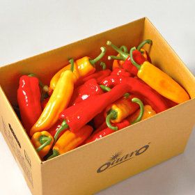상품 이미지: 트리벨리 부드럽고 달콤한 파프리카 5kg