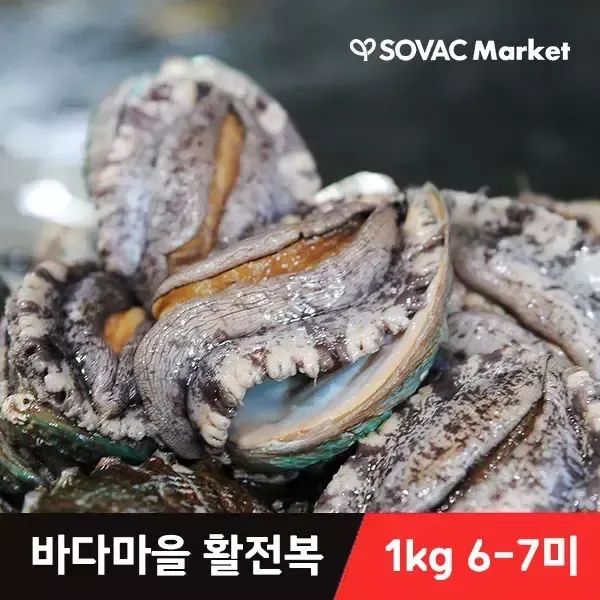 상품 이미지: [바다마을] 완도 산지직송 활 전복 6-7미 1kg 산소포장