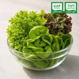 상품 이미지: (신선집중) 친환경 GAP 무농약 부여 유러피안 샐러드 유럽 채소 1kg 800g 550g