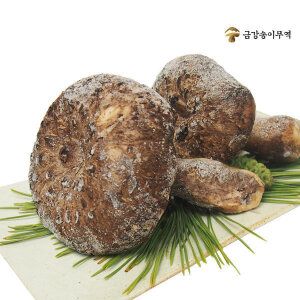 상품 이미지: 자연산 능이버섯 A급 냉동 특품
