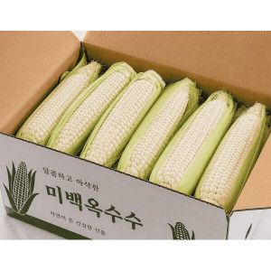 상품 이미지: 한정특가 쫀득 신선한 강원도 미백옥수수 20개 특품