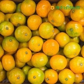 상품 이미지: 제주남원농협 하우스 감귤 소과 2.5kg (실중량)