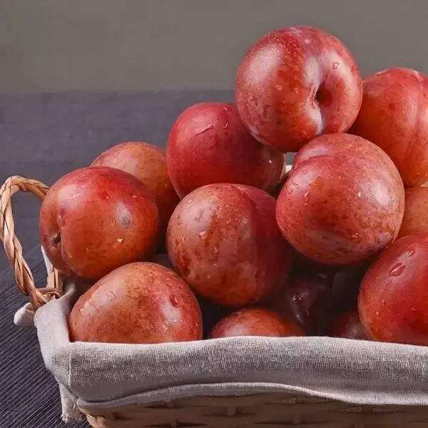 상품 이미지: [스윗킹] 새콤달콤 후무사자두 소과 2kg (개당 70g 내외)