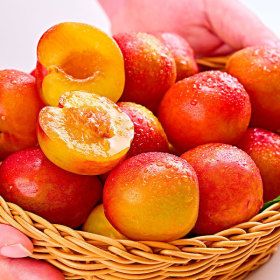 상품 이미지: 김천 햇 자두 1kg 2kg 새콤달콤 고당도 과즙가득