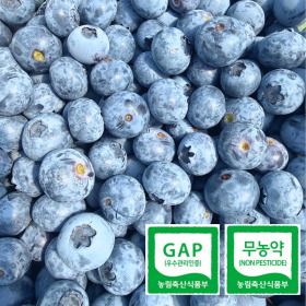 상품 이미지: 블루베리 대용량 1kg 1번 왕왕 ( 18mm20mm이상 )