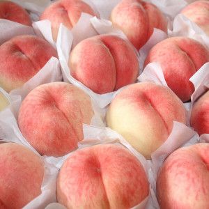 상품 이미지: 딱딱이 복숭아 10kg 55과 65과 내외(대량구매시 추천)