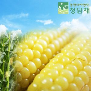 상품 이미지: 그린농장  괴산대학찰옥수수 30개  특품 17cm내외