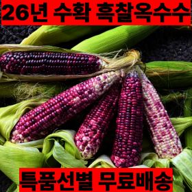 상품 이미지: 국내산 제철 햇 흑찰옥수수 생옥수수 특품(15cm 이상) 20개