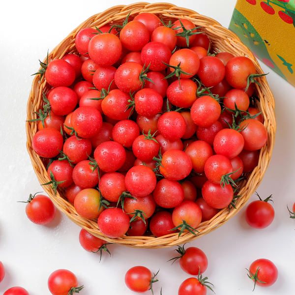 상품 이미지: [하랑] 실키핑크토마토 2kg 3kg