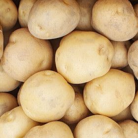 상품 이미지: 아빠의 마음 26년 햇감자 5kg(중)