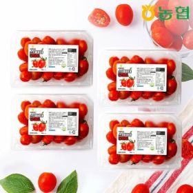 상품 이미지: 농협선별 스테비아 대추 방울토마토 2kg (로얄과/500gx4팩)