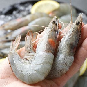 상품 이미지: (신선식품) 흰다리 새우 1kg 약32미내외
