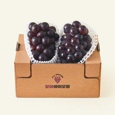상품 이미지: 모아바이오팜 거봉포도 1~2송이, 1개, 1kg