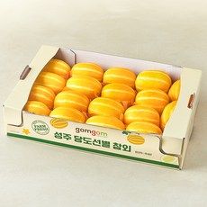 상품 이미지: 곰곰 성주 당도선별 참외, 5kg(14~19입), 1개