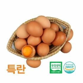 상품 이미지: (알부자집) 무항생제 계란 특란 90구(30구X3판)