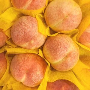 상품 이미지: (신선집중) 복숭아 딱딱이(100박스 한정 특가) 4kg 실중량 판매 당일수확 발송