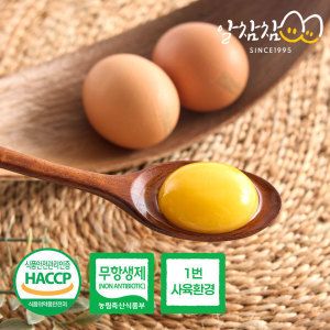 상품 이미지: (신선집중) 알참참 HACCP 난각번호1번 유정란 60구 계란 생란 무항생제 친환경 자연방사 달걀