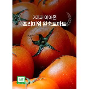 상품 이미지: 대간농장 최상품 완숙 토마토 2kg 5kg산지직송 대간농장 프리미엄 완숙토마토 2kg두개구매시5kg발송
