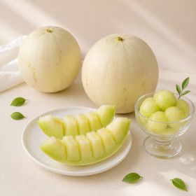상품 이미지: (신선집중) 달콤한 허니듀 멜론 점보특대과 2개입 (총 5.5~6.5kg 내외)