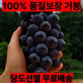 상품 이미지: 고당도 씨없는포도 거봉 품질보장 2kg