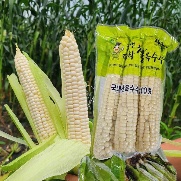 상품 이미지: 괴산 대학찰옥수수 17cm이상 특품 수확 즉시 삶아 냉동 15개 /30개 구매시 3개(1팩) 증정 이벤트