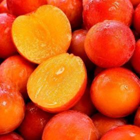 상품 이미지: (신선집중) 의성자두 후무사 2kg 중대과(개당 100g 내외)