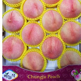 상품 이미지: 충주하늘작복숭아 가정용복숭아 백도 황도 딱복 물복 딱딱이복숭아 천중도 유명 4kg 14~18과 무료배송