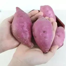 상품 이미지: [농할] [팔도농장] 국내산 세척 꿀 밤고구마 (상)3kg
