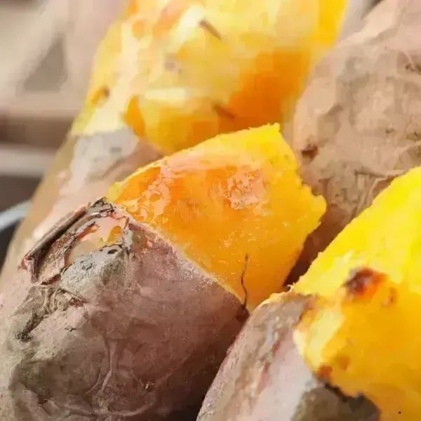 상품 이미지: [품질보장] 26년 햇 꿀이 뚝뚝 세척 해남 베니하루카 꿀고구마 3kg (한입)